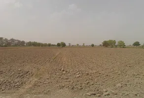 Gochhi, Haryana 124107, India preview 3