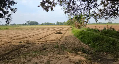 Barsana, Uttar Pradesh 281405, India preview 3