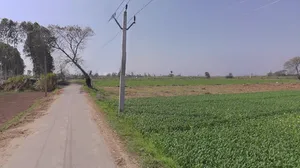 Mawana Kalan, Uttar Pradesh, India preview 3