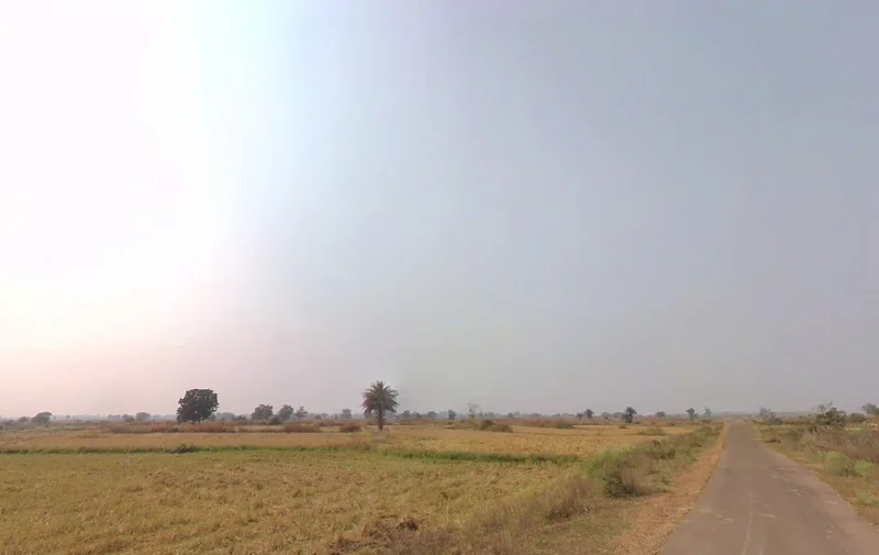 Rakhi-1, Chhattisgarh 492018, India preview 3