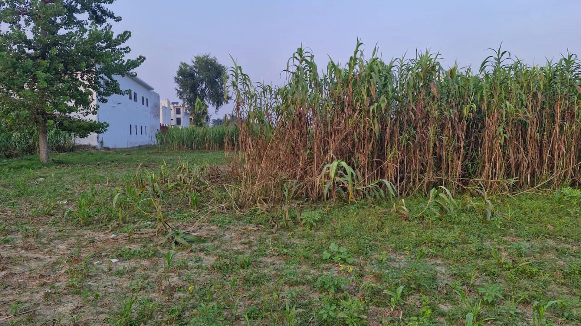 Agwanpur, Uttar Pradesh 250406, India