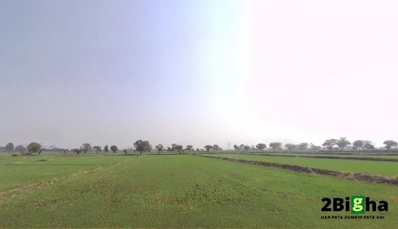 59HX+P2, National Law Institute University, Bhopal, Madhya Pradesh 462044, India preview 3