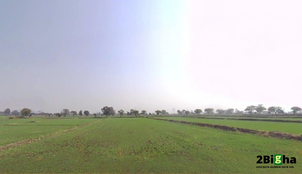 59HX+P2, National Law Institute University, Bhopal, Madhya Pradesh 462044, India