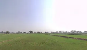 59HX+P2, National Law Institute University, Bhopal, Madhya Pradesh 462044, India preview 3