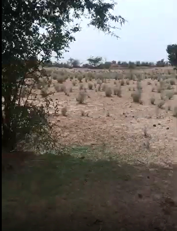 Lunkaransar, Bikaner, Rajasthan 334603, India