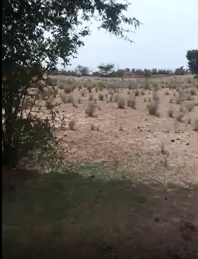 Lunkaransar, Bikaner, Rajasthan 334603, India preview 2