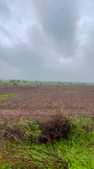 Madaura, Mathura, Uttar Pradesh 281302, India preview 3