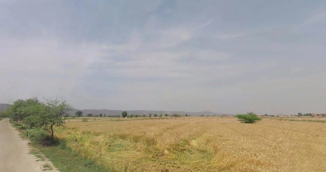 PW7J+RQM, Rawli, Haryana 122104, India