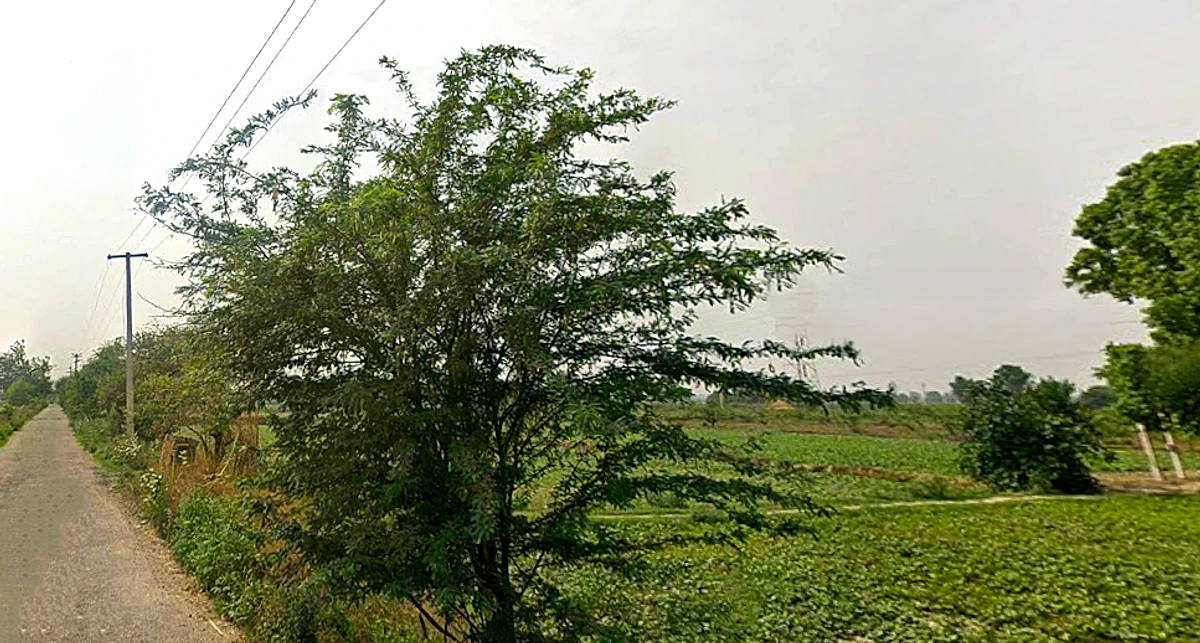 HJ5C+8GM, Chhatikara, Uttar Pradesh 281504, India