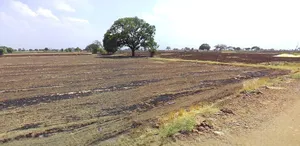 Agar, Madhya Pradesh 465441, India preview 2