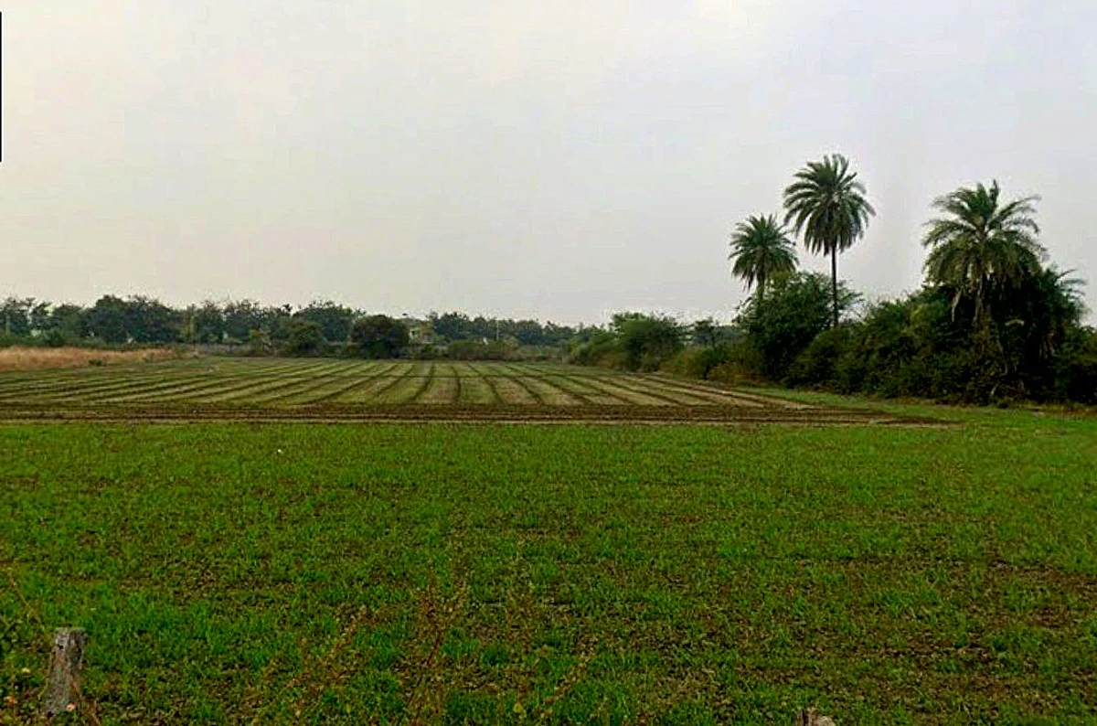 Panod, Madhya Pradesh 453771, India