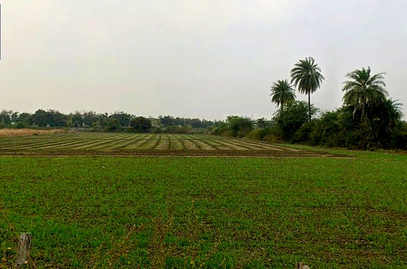 Panod, Madhya Pradesh 453771, India preview 3