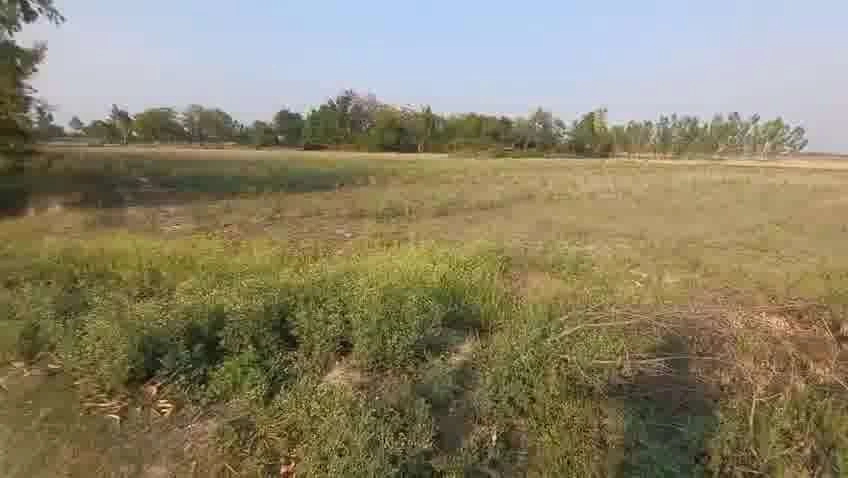Mohanlalganj, Uttar Pradesh 226301, India