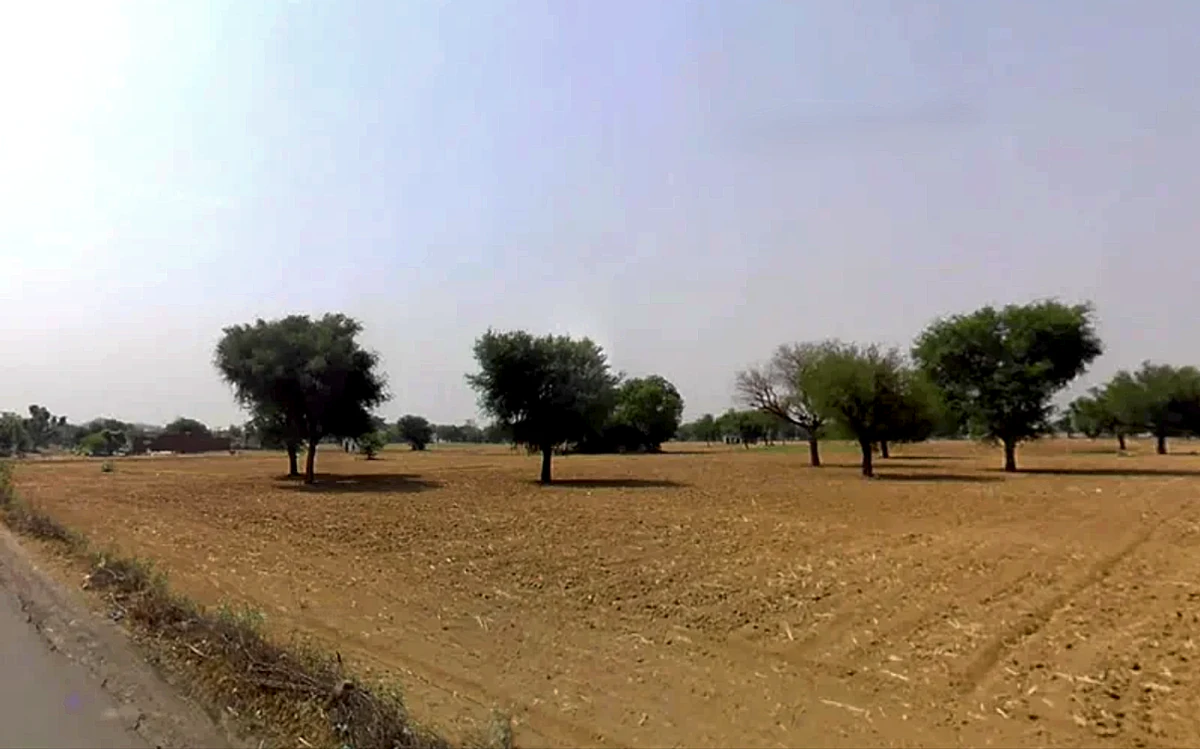 Jaisinghpur Khera, Haryana 123501, India