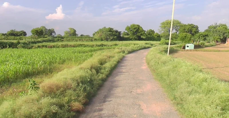 Barnagar, Madhya Pradesh 456771, India preview 2