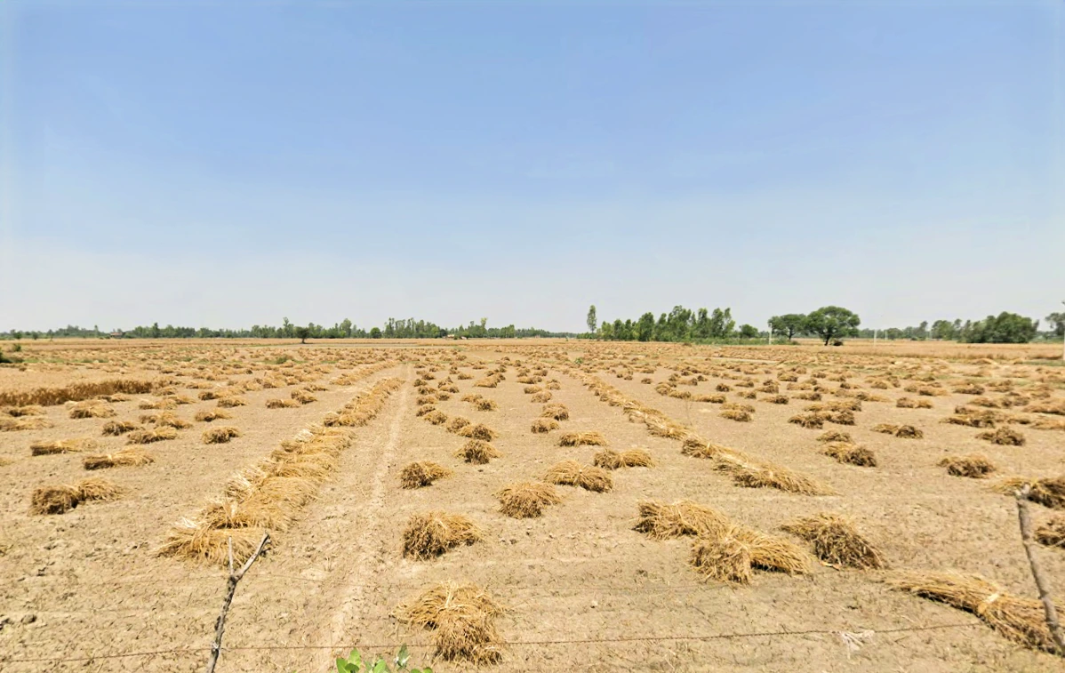 Dataganj, Uttar Pradesh 243635, India