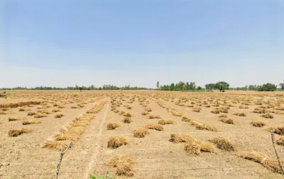 Dataganj, Uttar Pradesh 243635, India preview 2