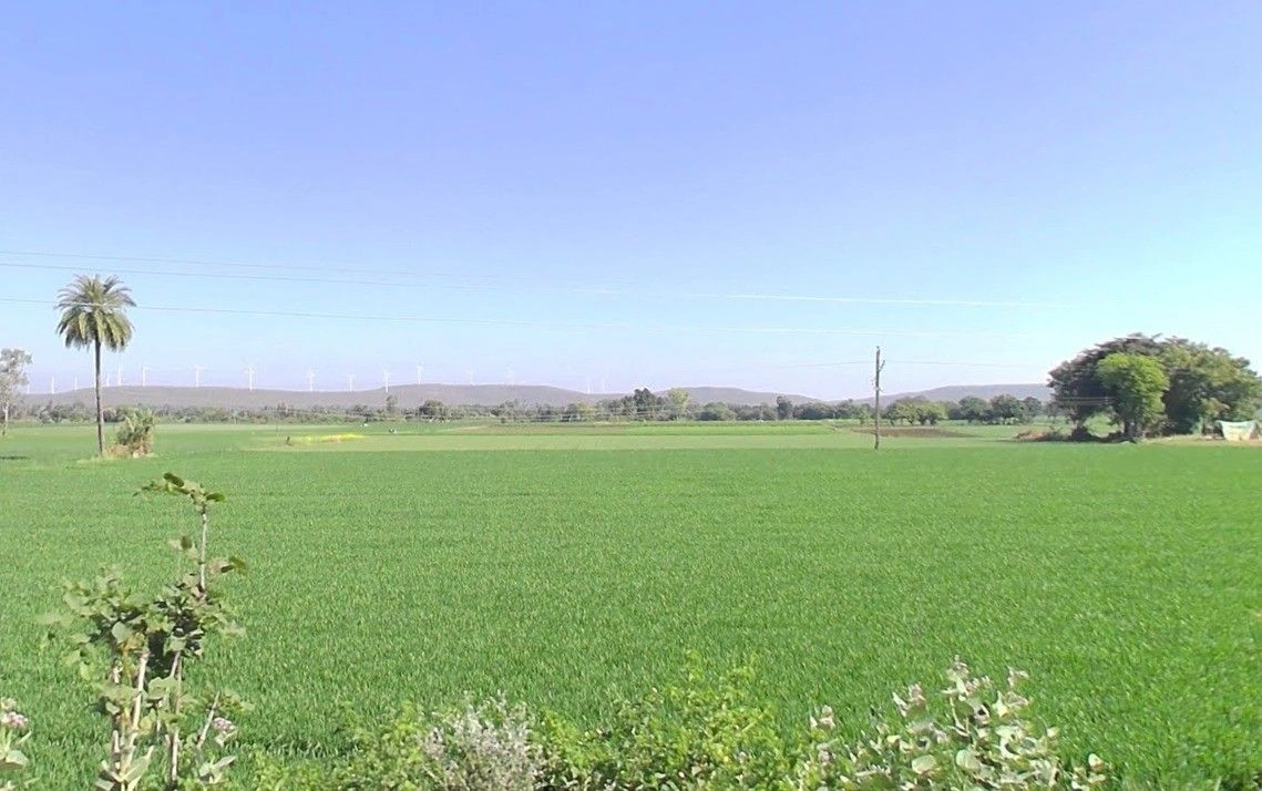 Mirzapur, Madhya Pradesh 455221, India