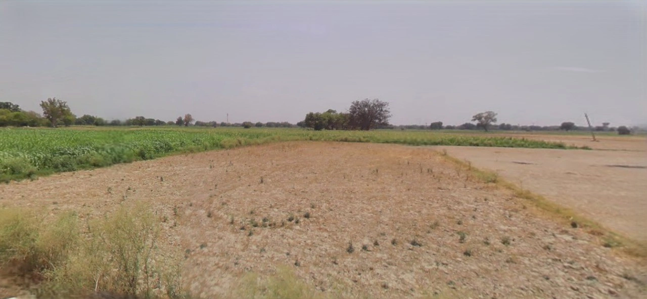 Barnagar, Madhya Pradesh 456771, India
