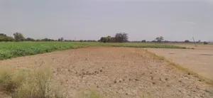 Barnagar, Madhya Pradesh 456771, India preview 2