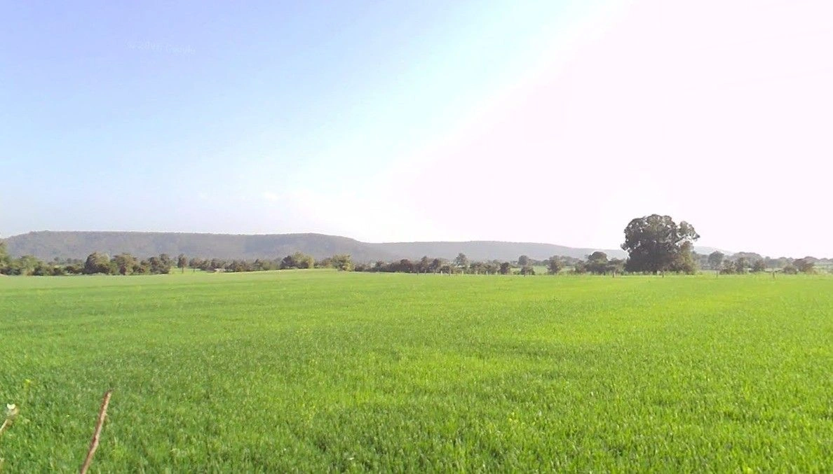 Manora, Madhya Pradesh, India preview 3