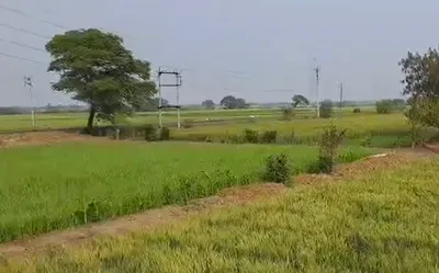 Dongarwada, Narmadapuram, Madhya Pradesh 461005, India preview 3