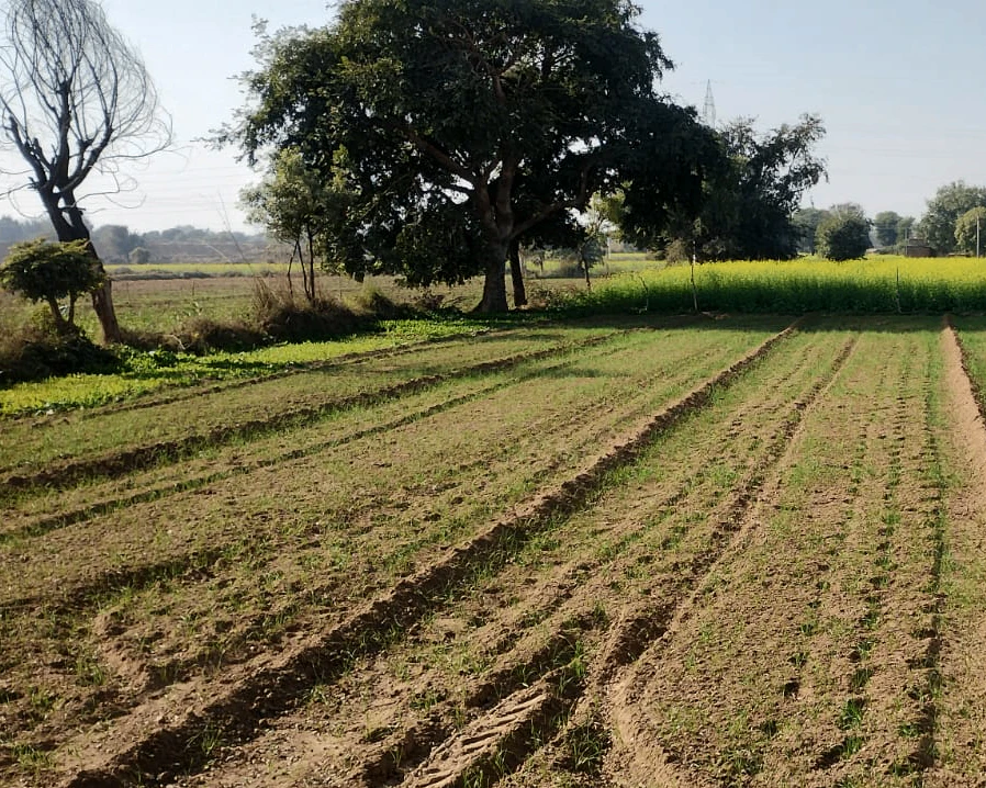 FQ4V+VQ Kheda Khajuriya, Madhya Pradesh, India