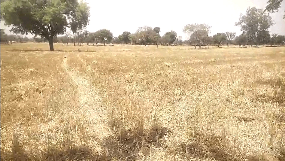 Devendrapura, Madhya Pradesh, India