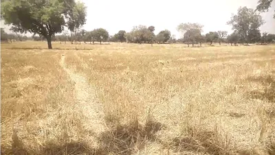 Devendrapura, Madhya Pradesh, India preview 3