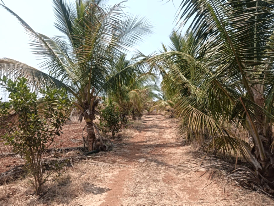 Hiriyur, Karnataka, India