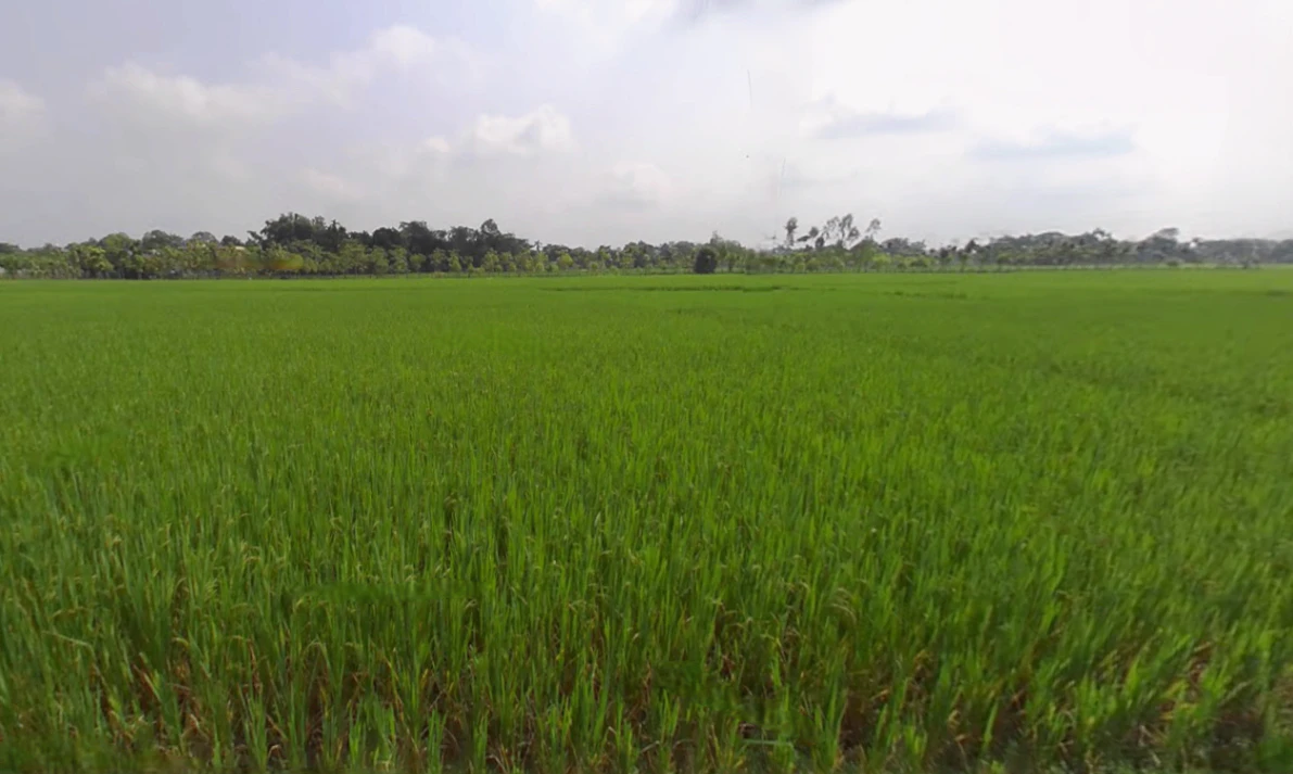 Madanpur Rampur, Odisha 766102, India