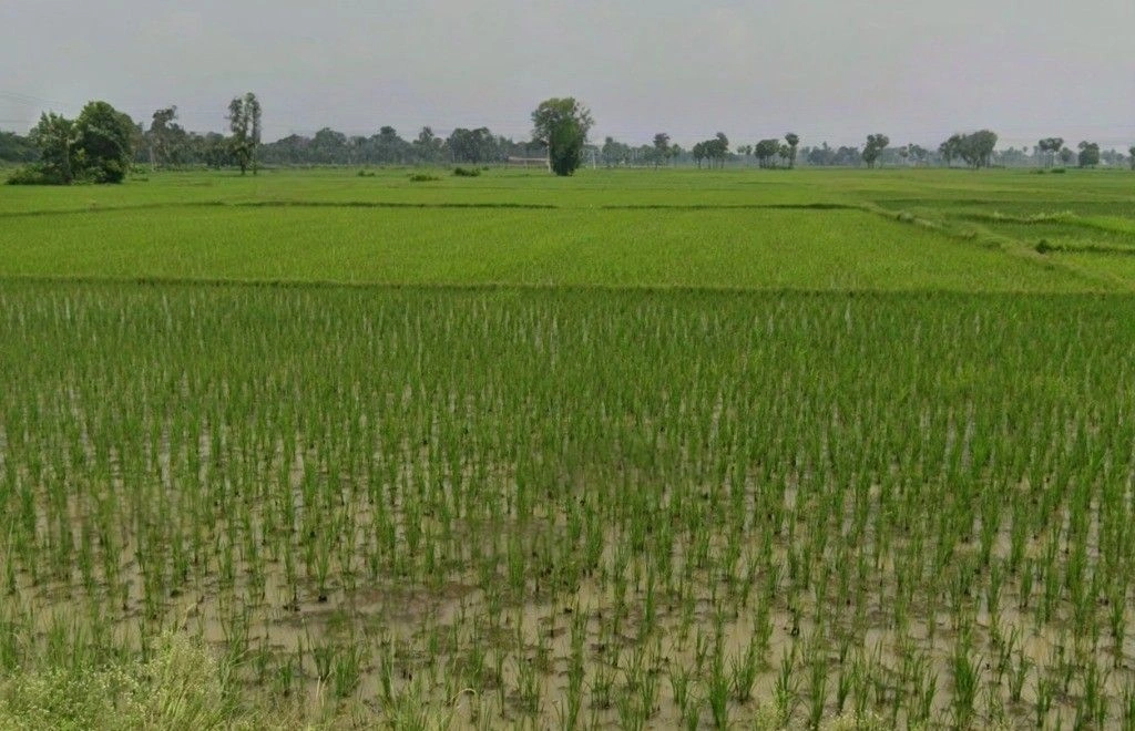 Kharra, Chhattisgarh 491332, India preview 2