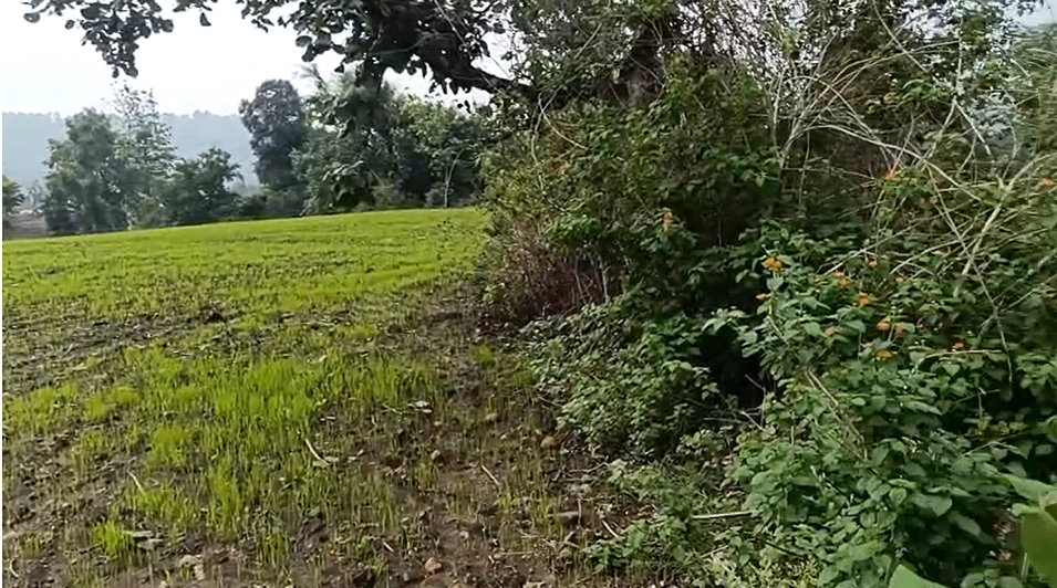 Seema Dwar, Dehradun, Uttarakhand, India