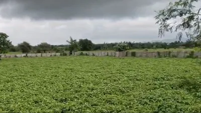 Garoth, Mandsaur, Madhya Pradesh 458880, India preview 2