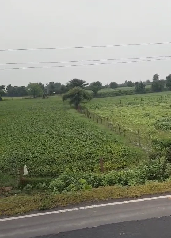 Beechhi, Sonbhadra, Uttar Pradesh 231216, India