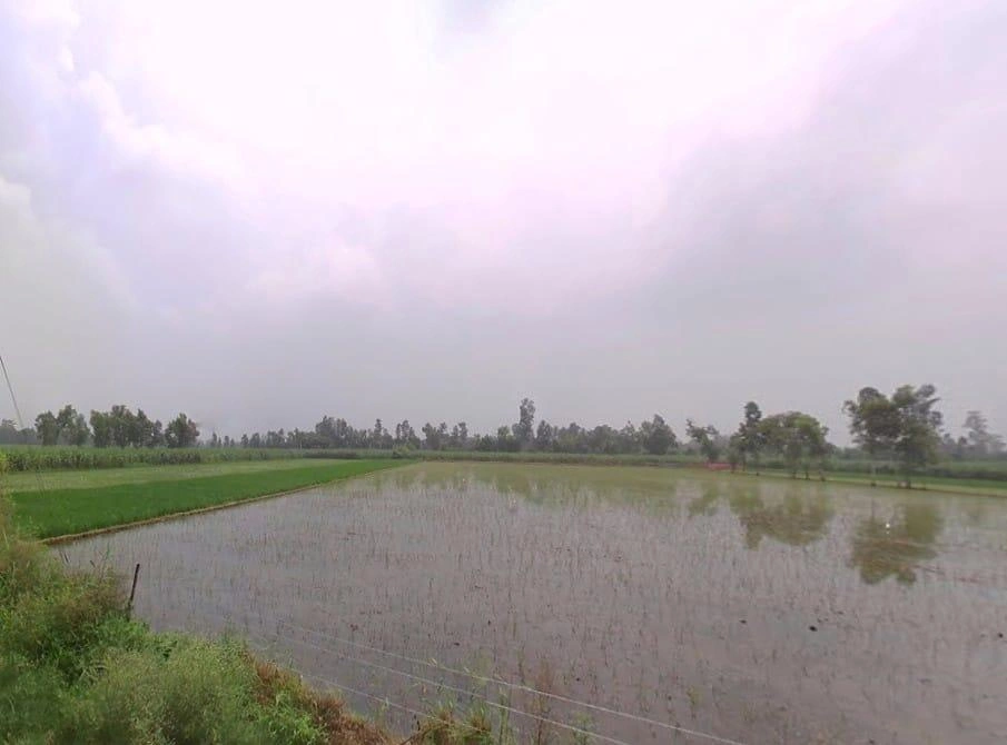 Piparia Bhaja, Uttar Pradesh, India