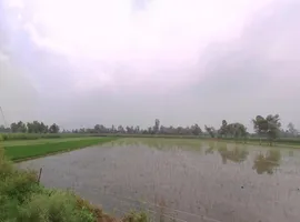 Piparia Bhaja, Uttar Pradesh, India preview 2