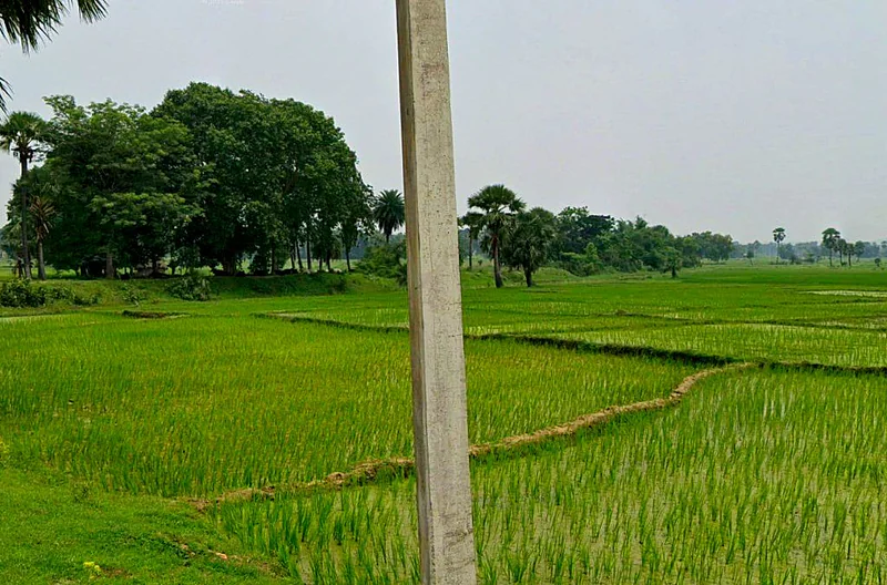 Beejadahi, Chhattisgarh 491993, India preview 2