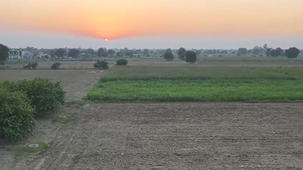 Rawalwas Khurd, Haryana 125004, India