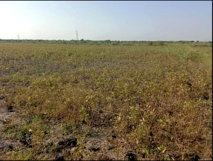 Begumganj, Madhya Pradesh, India