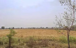 2RJH+FV Bothiya Kalan, Madhya Pradesh, India preview 2