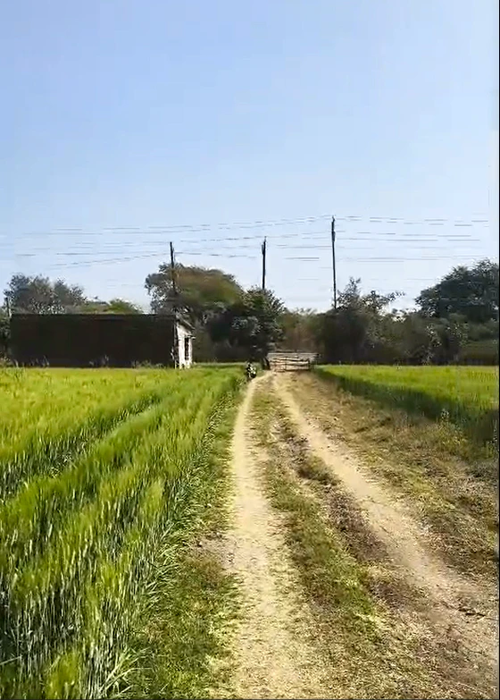 M7QH+QJ5, Sehore, Nasrullaganj, Madhya Pradesh 466331, India