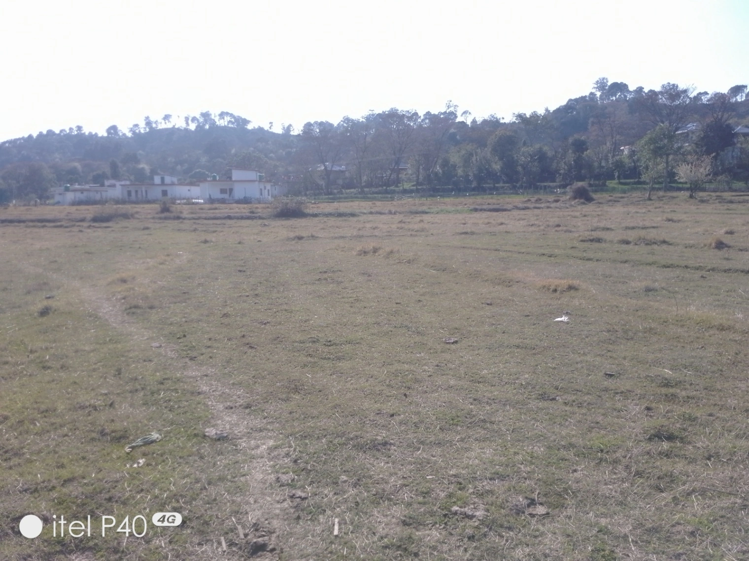 Shahpur, Himachal Pradesh, India