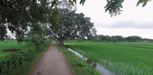 Jewar, Uttar Pradesh 203135, India preview 3