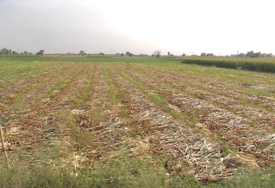 7P7M+96V, Pardalpur, Garhikhanpur, Uttar Pradesh 243723, India preview 2