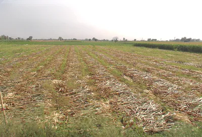 7P7M+96V, Pardalpur, Garhikhanpur, Uttar Pradesh 243723, India preview 2