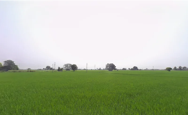 Machhike, Punjab 142039, India preview 3