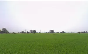 Machhike, Punjab 142039, India preview 3