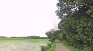 Jaithal, Madhya Pradesh 456006, India preview 3