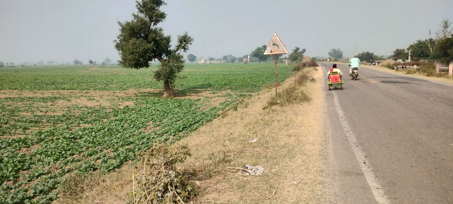 Didawali, Rajasthan 321203, India